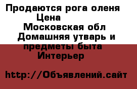 Продаются рога оленя › Цена ­ 5 000 - Московская обл. Домашняя утварь и предметы быта » Интерьер   